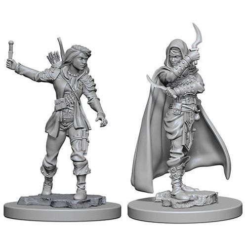 Unpainted Wizkids Pathfinder Deepcuts miniature of a human female rogue figure on a clear background.