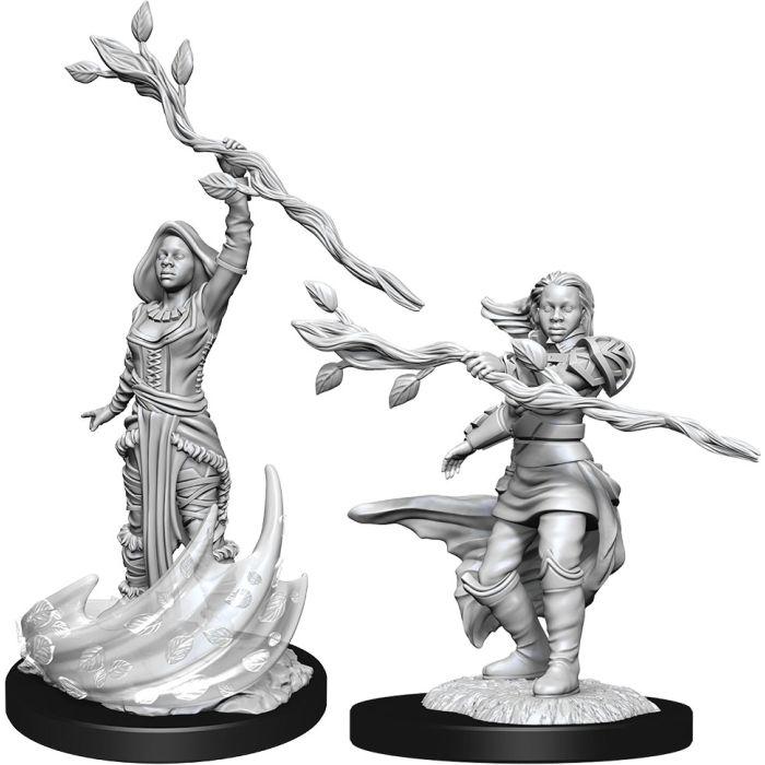 D&D Nolzur's Marvelous Unpainted Miniatures: Human Female Druid W14 - TCB Toys Comics & Games