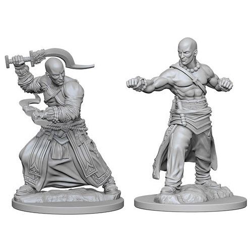 Pathfinder: Deepcuts Unpainted Miniatures - W01 Male Human Monk