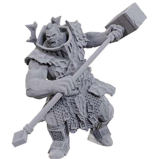 D&D: Nolzur's Marvelous Unpainted Miniatures -  W23 Firegaunt