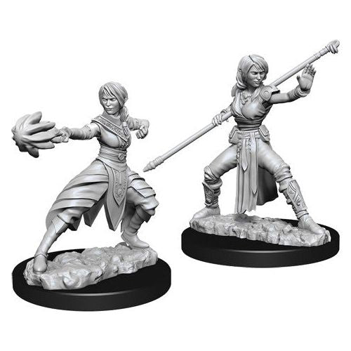 D&D: Nolzur's Marvelous Unpainted Miniatures - W10 Half-Elf Female Monk