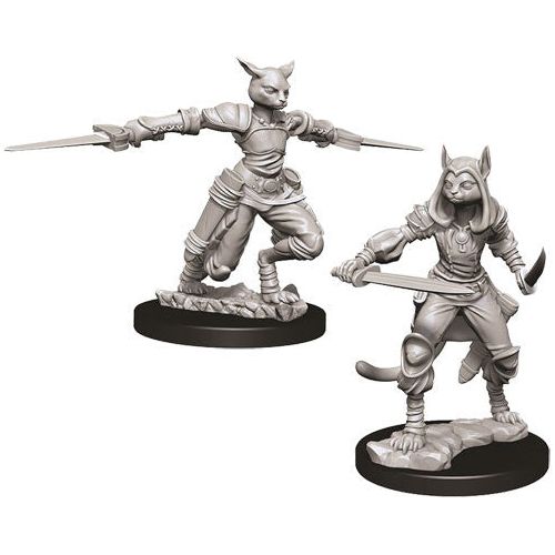 D&D: Nolzur's Marvelous Unpainted Miniatures - W09 Female Tabaxi Rogue