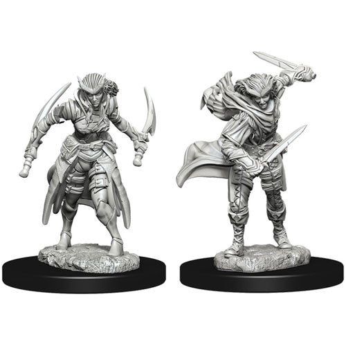 D&D: Nolzur's Marvelous Unpainted Miniatures - W07 Tiefling Female Rogue