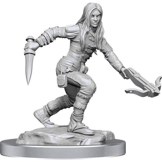 D&D: Nolzur's Marvelous Unpainted Miniatures - W17 Female Half-Elf Rogue