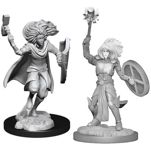 D&D: Nolzur's Marvelous Unpainted Miniatures - W14 Changeling Cleric