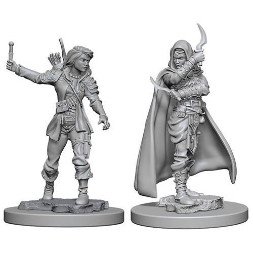 Pathfinder: Deepcuts Unpainted Miniatures - W01 Human Female Rogue