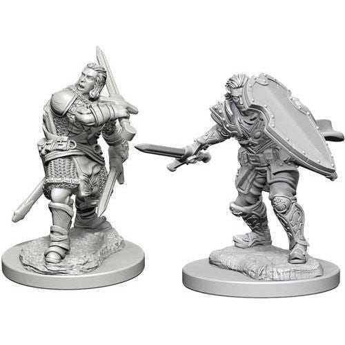 D&D: Nolzur's Marvelous Unpainted Miniatures - W03 Human Male Paladin