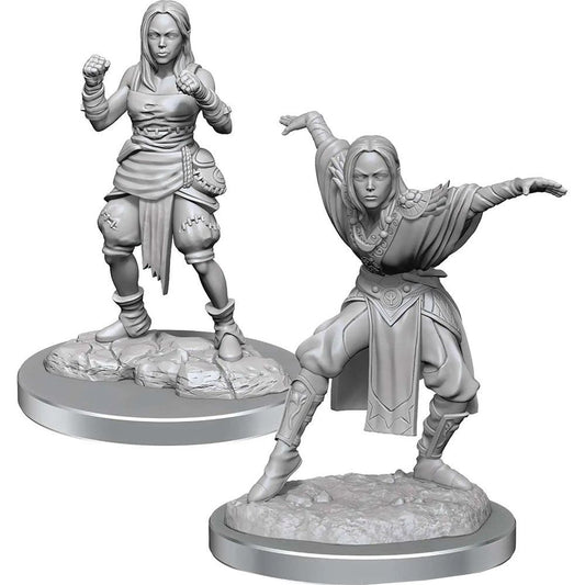 Pathfinder: Deepcuts Unpainted Miniatures - W21 Female Half-Elf Monk