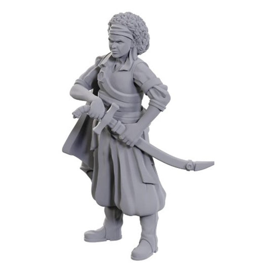 D&D: Nolzur's Marvelous Unpainted Miniatures -  W23 Ansalon Human Rogue (Female)