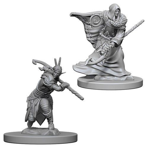 D&D: Nolzur's Marvelous Unpainted Miniatures - W04 Elf Male Druid