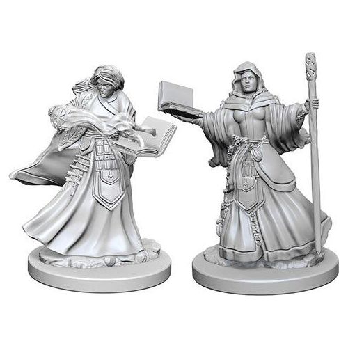 D&D: Nolzur's Marvelous Unpainted Miniatures - W01 Human Female Wizard