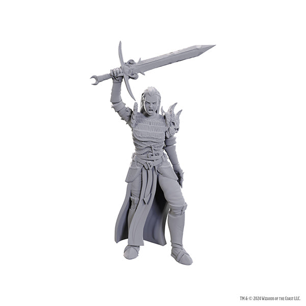 Unpainted D&D Nolzur's Marvelous Miniature of Wizkids Blackguard miniature for tabletop gaming.