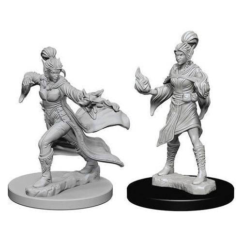 Pathfinder: Deepcuts Unpainted Miniatures - W01 Elf Female Sorceror - TCB Games & Collectibles