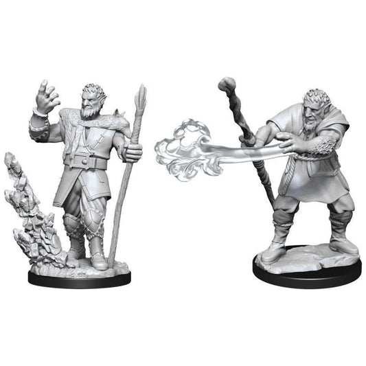 D&D: Nolzur's Marvelous Unpainted Miniatures - W11 Male Firbolg Druid