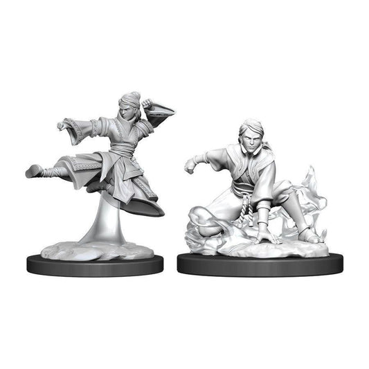 D&D: Nolzur's Marvelous Unpainted Miniatures - W11 Female Human Monk - TCB Games & Collectibles