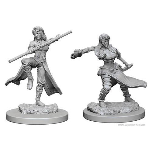 D&D: Nolzur's Marvelous Unpainted Miniatures - W01 Human Female Monk