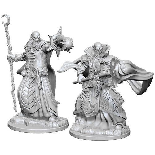 D&D: Nolzur's Marvelous Unpainted Miniatures - W01 Human Male Wizard