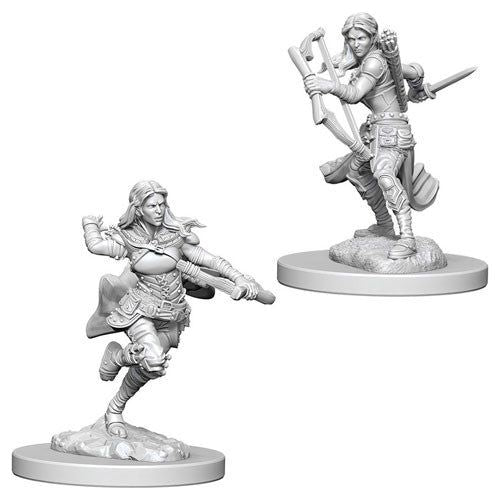 D&D: Nolzur's Marvelous Unpainted Miniatures - W04 Air Genasi Female Rogue