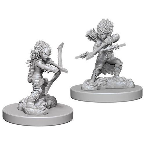 Pathfinder: Deep Cuts Unpainted Miniatures - W06 Female Gnome Rogue