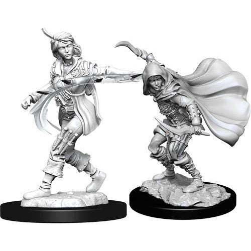 Pathfinder: Deepcuts Unpainted Miniatures - W14 Human Female Rogue