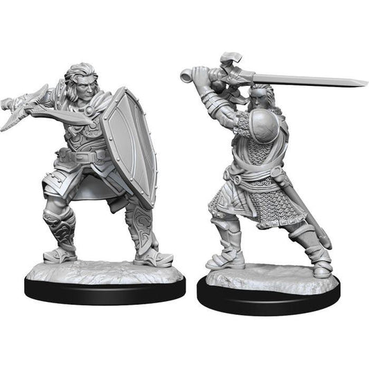 D&D: Nolzur's Marvelous Unpainted Miniatures - W14 Human Male Paladin