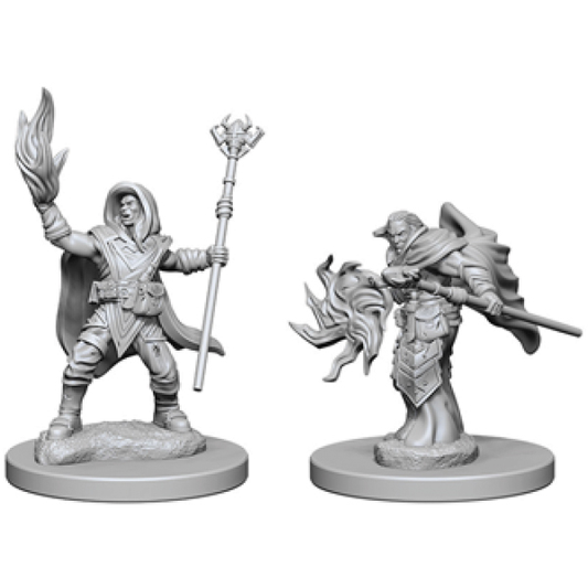 D&D Nolzur's Marvelous Unpainted Miniatures: Elf Male Wizard