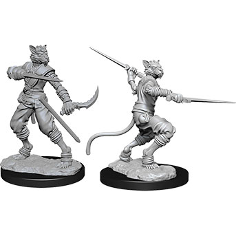 D&D Nolzur's Marvelous Unpainted Miniatures: Tabaxi Male Rogue 2 figures