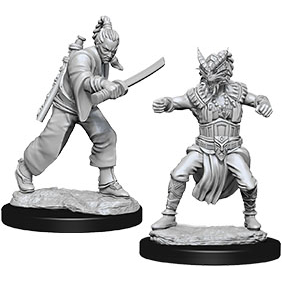 D&D Nolzur's Marvelous Unpainted Miniatures: Male Human Monk 2 figures