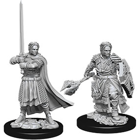 D&D Nolzur's Marvelous Unpainted Miniatures: Male Human Cleric 2 figures