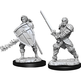 D&D Nolzur's Marvelous Unpainted Miniatures: Male Human Fighter 2 figures