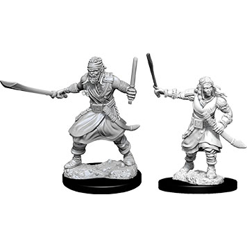 D&D Nolzur's Marvelous Unpainted Miniatures: Bandits 2 figures