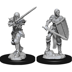 D&D Nolzur's Marvelous Unpainted Miniatures: Human Female Fighter 2 figures