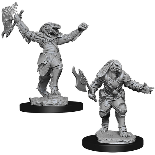 D&D Nolzur's Marvelous Unpainted Miniatures: Dragonborn Female Fighter 2 figures