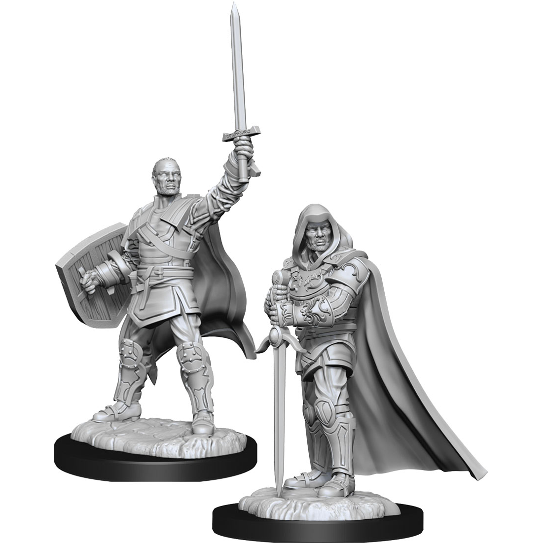 D&D Nolzur's Marvelous Unpainted Miniatures: Human Male Paladin W13 2 figures