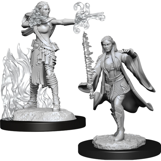 D&D Nolzur's Marvelous Unpainted Miniatures: Warlock & Sorcerer Female Multiclass W13 2 figures