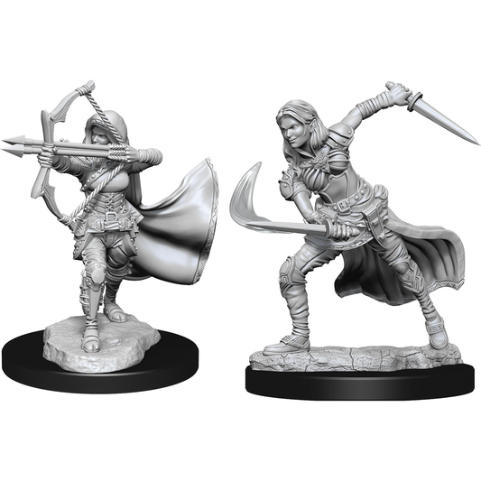 D&D Nolzur's Marvelous Unpainted Miniatures: Air Genasi Female W15 2 figures