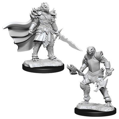 D&D Nolzur's Marvelous Unpainted Miniatures: Dragonborn Female Fighter W15 2 figures