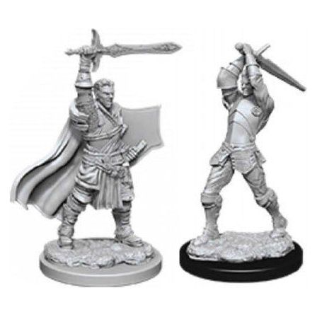 Human male paladin. Two figures.