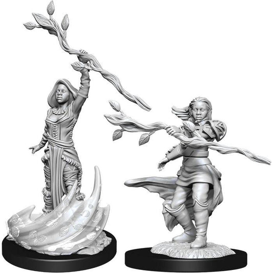 D&D Nolzur's Marvelous Unpainted Miniatures: Human Female Druid W14 - TCB Toys Comics & Games